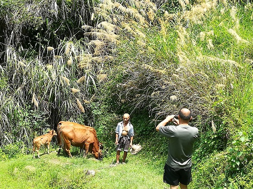 共和村开展贫困户产业验收