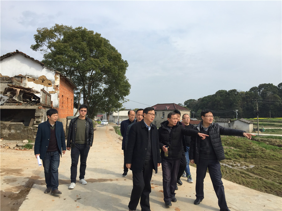殷跃平到城西乡督查指导美丽乡村建设工作