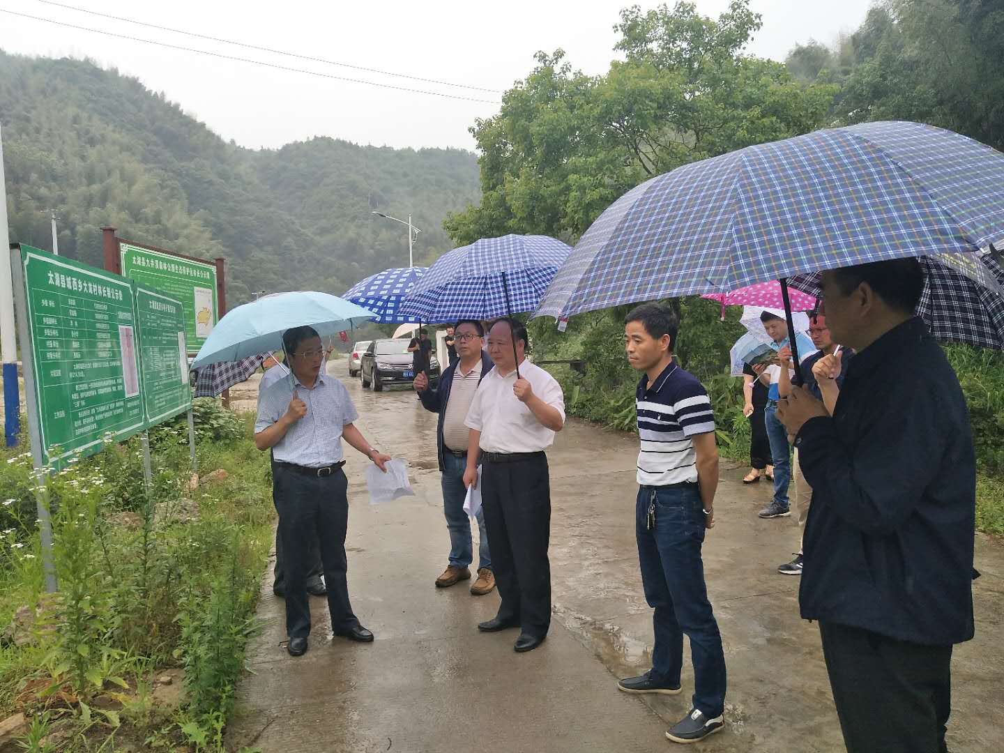 安庆市人大常委会秘书长程春生到城西乡调研指导林长制工作
