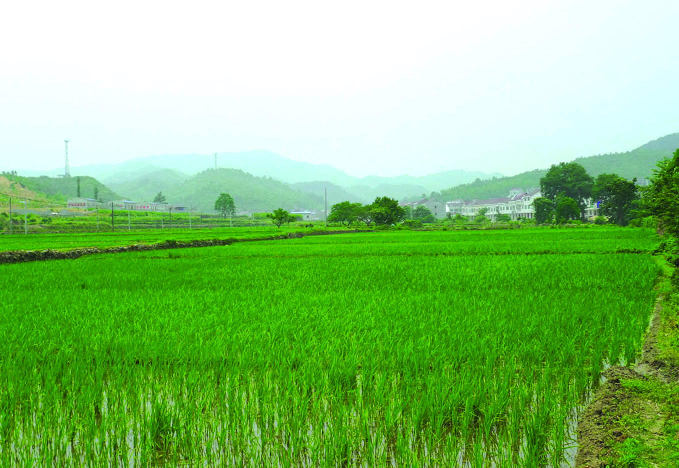 4-20马嘶铺遭遇战遗址全景.jpg