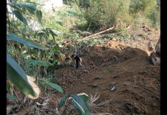 �������լ���������Ȳ�������