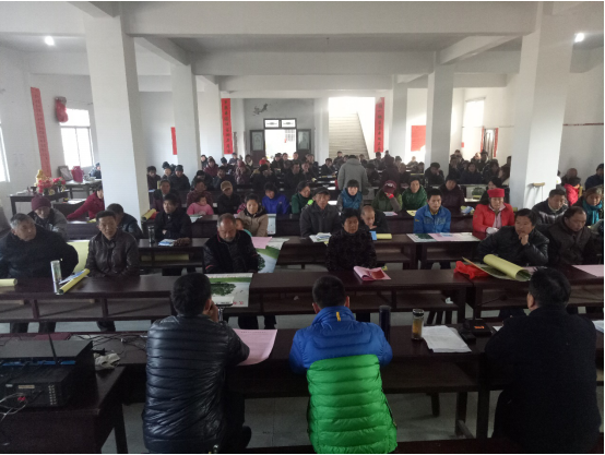 ������ (2).JPG