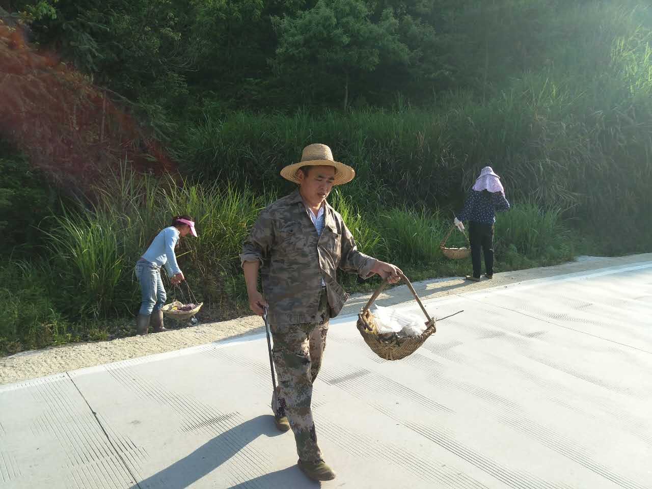 11.jpg