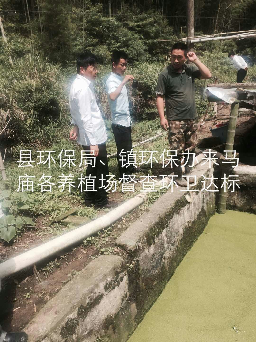 QQ图片20180528090323.jpg
