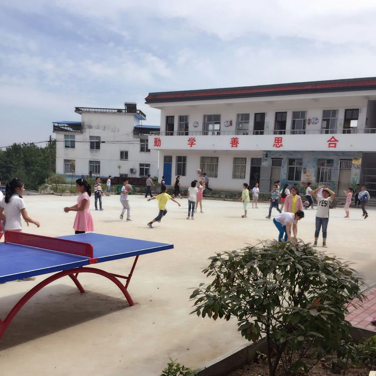 金鸡小学.jpg
