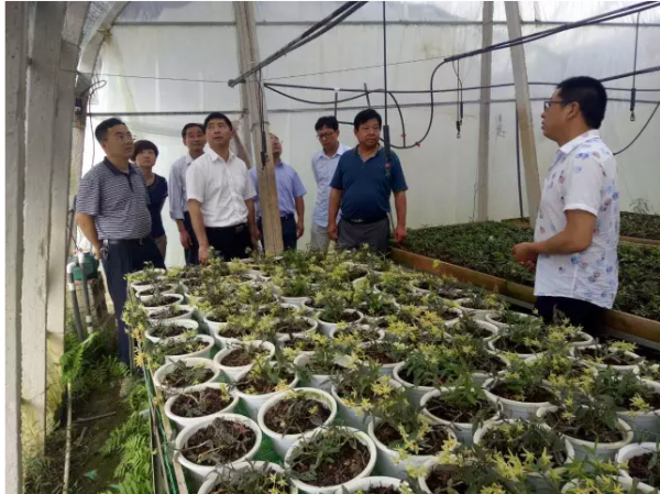 �ι�̫���ؿ���ũҵ�Ƽ����޹�˾